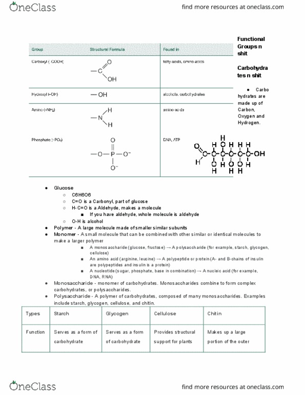 BIOL 101 Chapter Notes - Chapter 4: Protein Structure, Maltose, Ribosomal Rna thumbnail