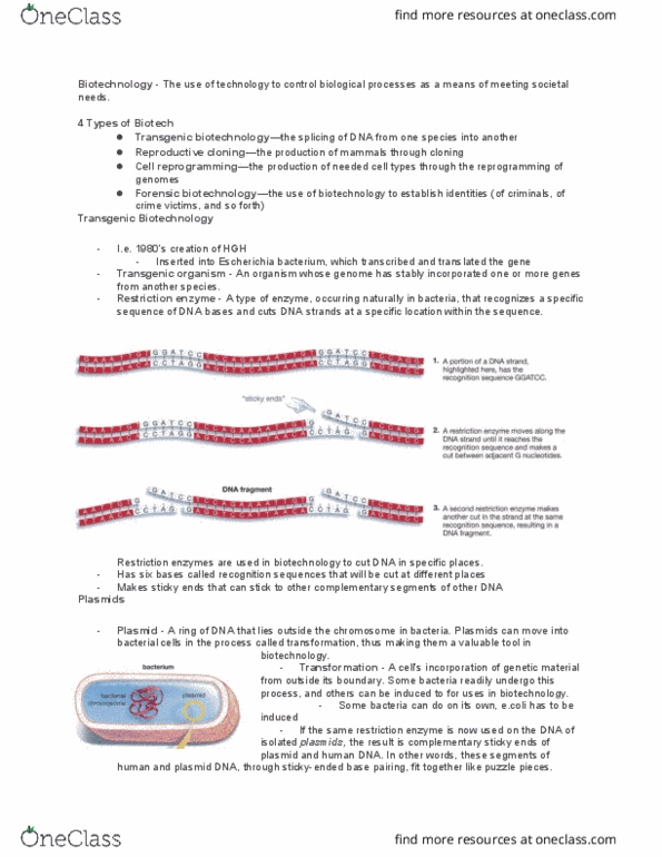 BIOL 101 Chapter Notes - Chapter 15: Induced Pluripotent Stem Cell, Chromosome, Blastula thumbnail