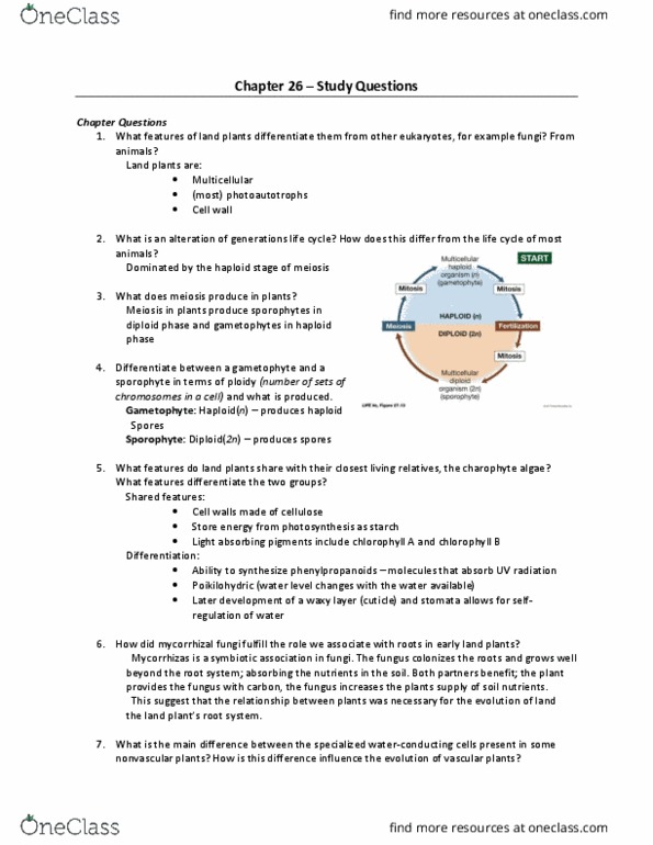 BIOL-1507EL Chapter Notes - Chapter 26: Monocotyledon, Chlorophyll, Phloem thumbnail