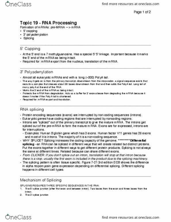 Microbiology and Immunology 2500A/B Lecture Notes - Lecture 27: Polyadenylation, Intron, Exon thumbnail