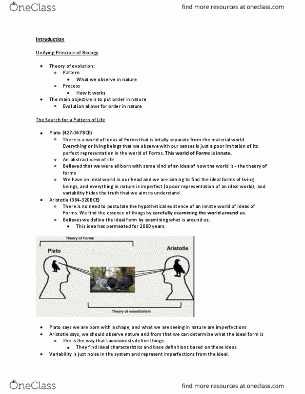 BIO 3158 Lecture Notes - Lecture 1: Pronghorn, American Cheetah, Shock Absorber thumbnail