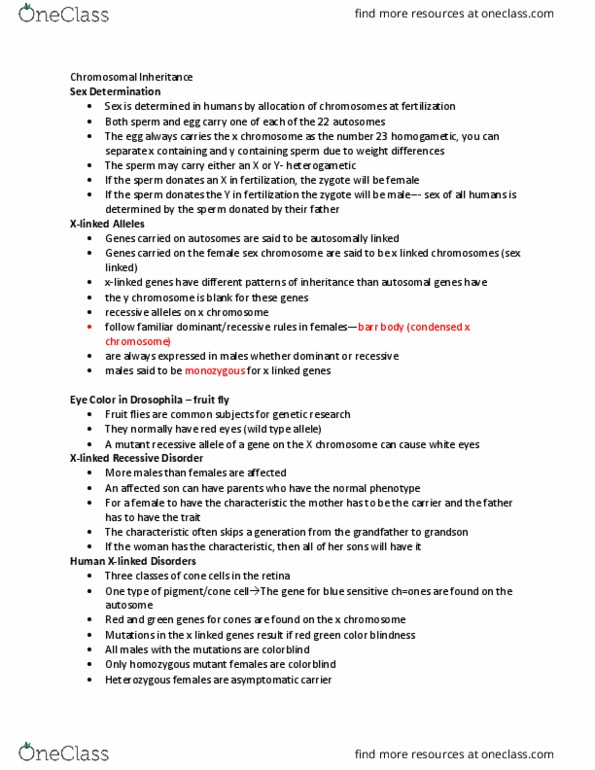 BIOL 1101 Lecture Notes - Lecture 17: Haemophilia A, Coagulation, Fragile X Syndrome thumbnail