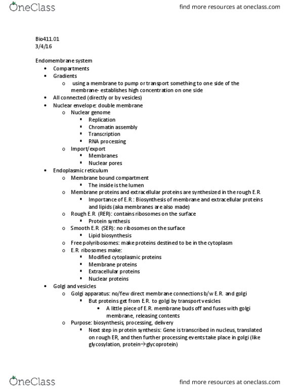BIOL 411 Lecture Notes - Lecture 13: Endoplasmic Reticulum, Nuclear Membrane, Endomembrane System thumbnail