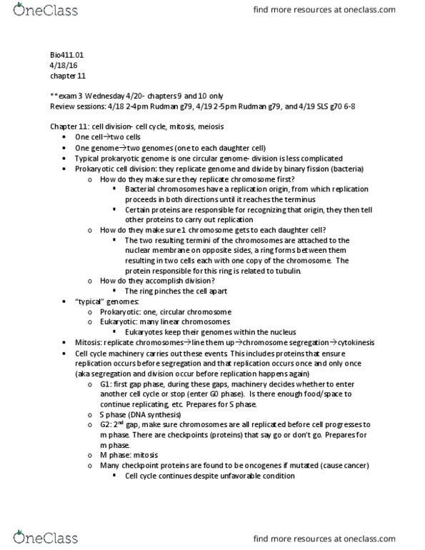 BIOL 411 Lecture Notes - Lecture 23: G0 Phase, Prokaryote, Nuclear Membrane thumbnail