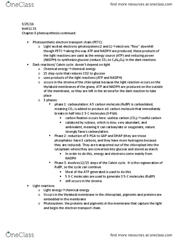 BIOL 411 Lecture Notes - Lecture 18: Carboxylation, Chloroplast, Rubisco thumbnail