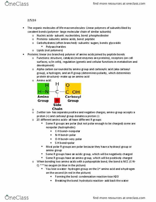 BIOL 411 Lecture Notes - Lecture 4: Carboxylic Acid, Amine, Phosphodiester Bond thumbnail