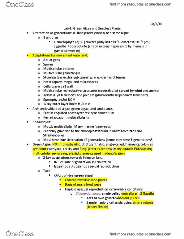 BIOL 112 Lecture Notes - Lecture 6: Red Algae, Archaeplastida, Heterokont thumbnail