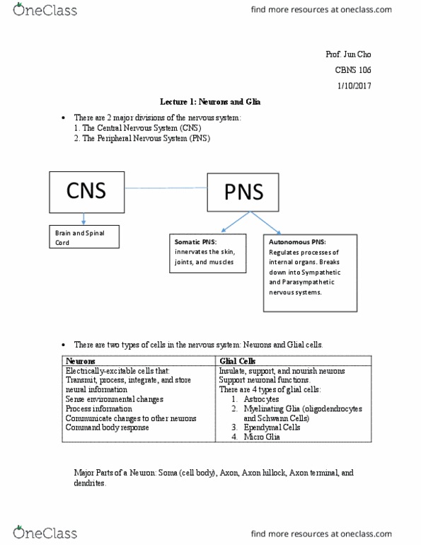 CBNS 106 Lecture Notes - Lecture 1: Microglia, Axon Hillock, Schwann Cell thumbnail