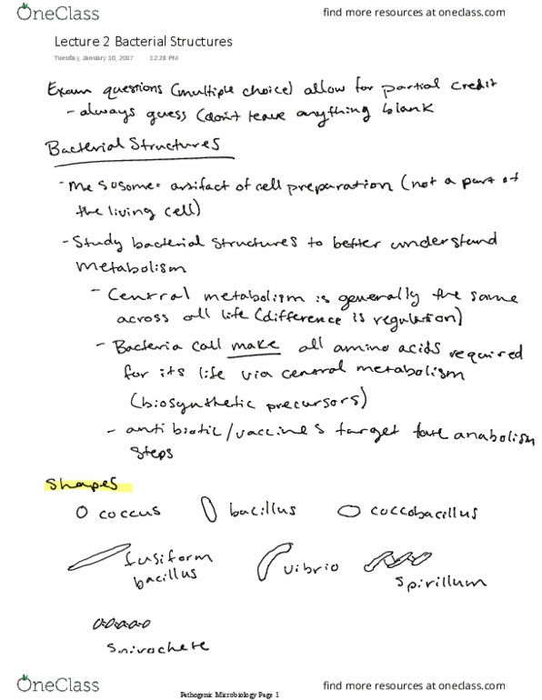 VBMS 441 Lecture 2: Bacterial Structures thumbnail
