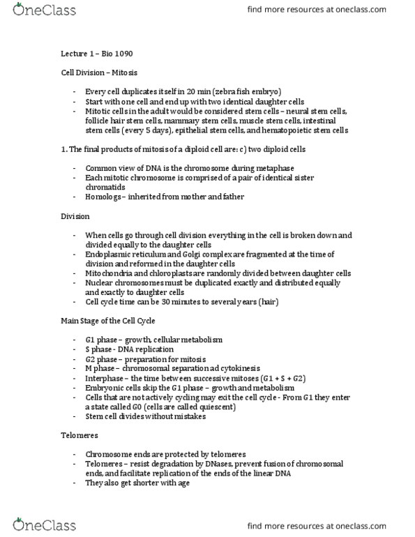 BIOL 1090 Lecture Notes - Lecture 1: Sister Chromatids, G1 Phase, Chromosome thumbnail