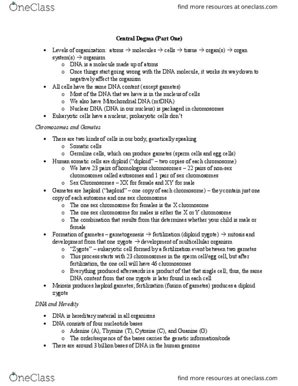 MBG 1000 Lecture Notes - Lecture 1: Dna Replication, Guanine, Thymine thumbnail