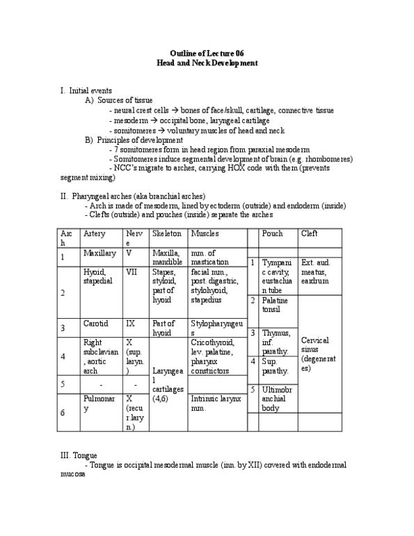 BIOL 2005 Lecture Notes - Hypoplasia, Thyroglossal Duct, Papillary Muscle thumbnail