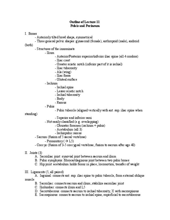 BIOL 2005 Lecture Notes - Lumbosacral Plexus, Obturator Foramen, Urogenital Triangle thumbnail