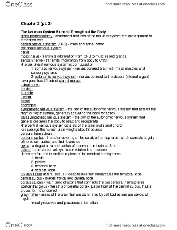 PSYCH 212 Chapter Notes - Chapter 2: Amygdala, Cranial Nerves, Putamen thumbnail