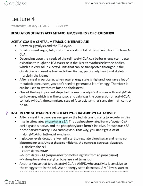 BIOC 406 Lecture Notes - Lecture 4: Acetyl-Coa Carboxylase, Acetyl-Coa, Citric Acid Cycle thumbnail