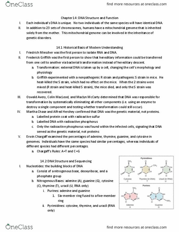 BIO 101 Lecture Notes - Lecture 9: Dna Polymerase Iii Holoenzyme, Dna Polymerase Ii, Dna Polymerase I thumbnail