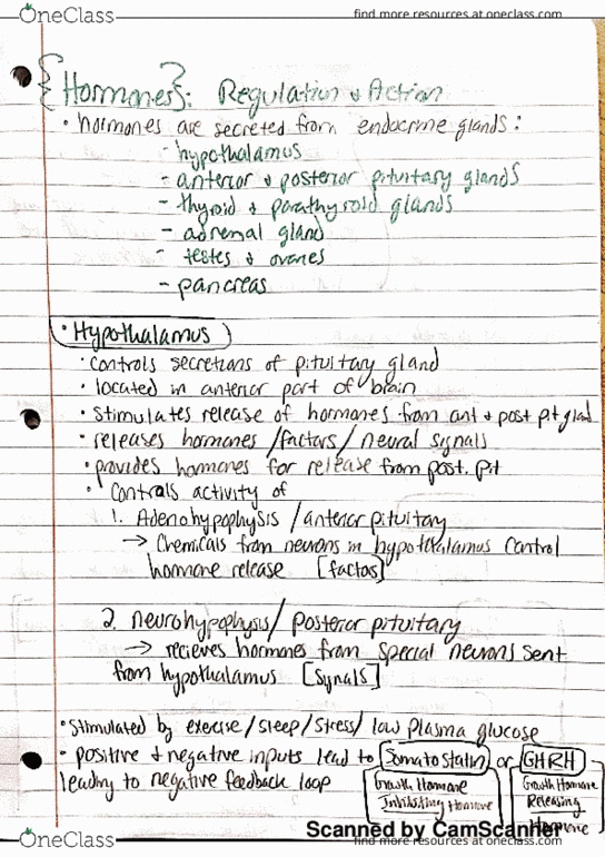 KINE 408 Lecture 9: Hormone Regulation and Action thumbnail