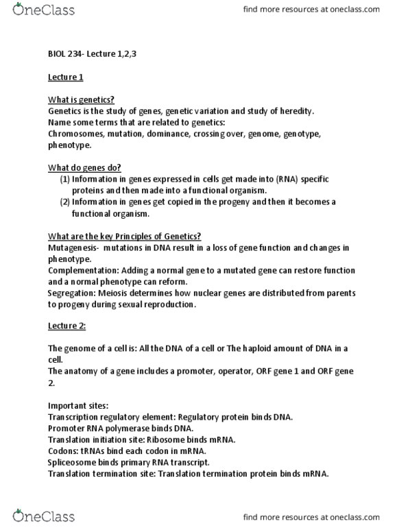 BIOL 234 Lecture Notes - Lecture 1: Heredity, Meiosis, Chromosome thumbnail