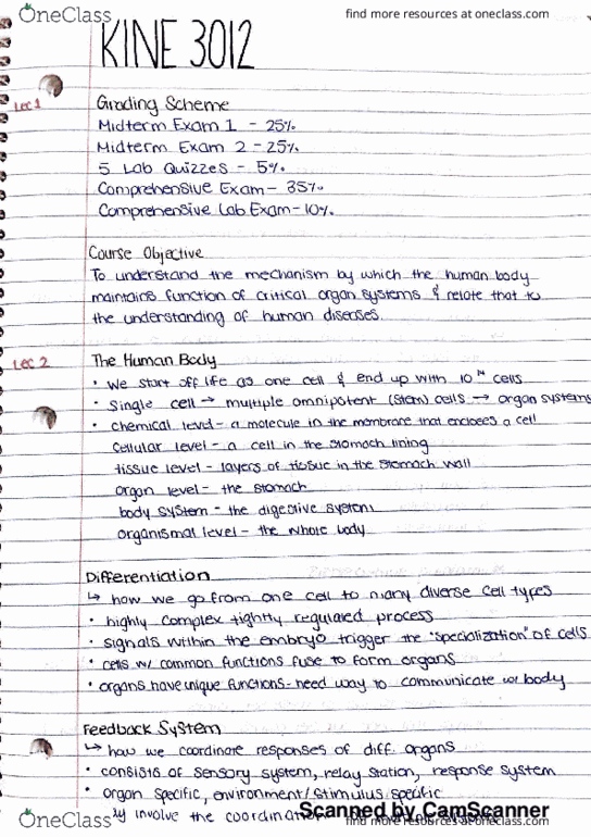 KINE 3012 Lecture 1: k1 homeostasis thumbnail