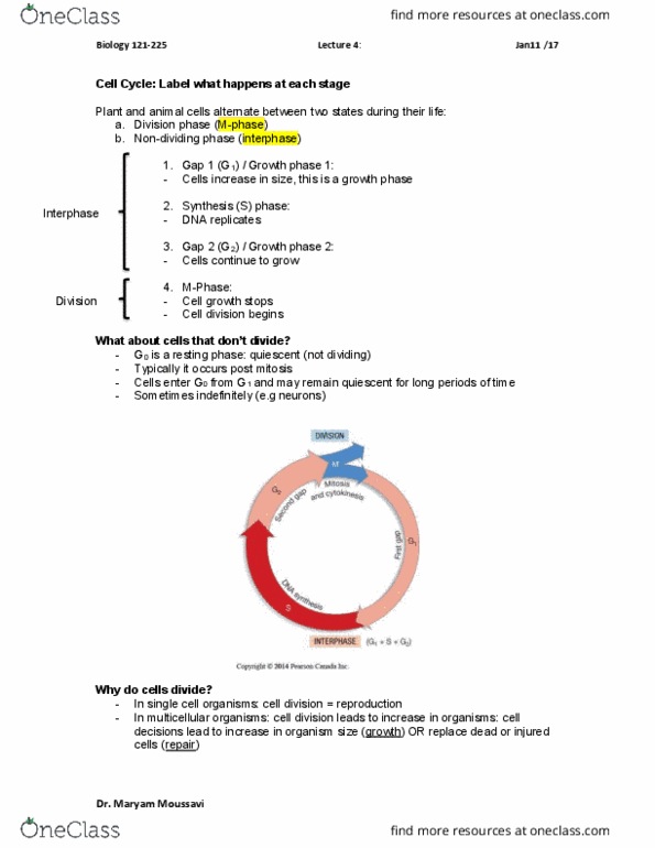 BIOL 121 Lecture Notes - Lecture 4: Cell Division, Golgi Apparatus, Dna Replication thumbnail