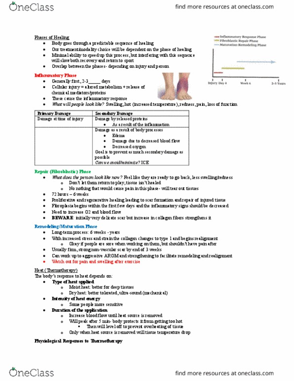 Kinesiology 3336A/B Lecture Notes - Lecture 2: Soft Tissue, Heat Therapy, The First 48 thumbnail