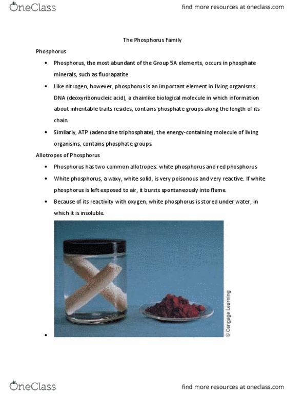 NSCI 1322 Lecture Notes - Lecture 8: Adenosine Triphosphate, Fluorapatite, Calcium Silicate thumbnail
