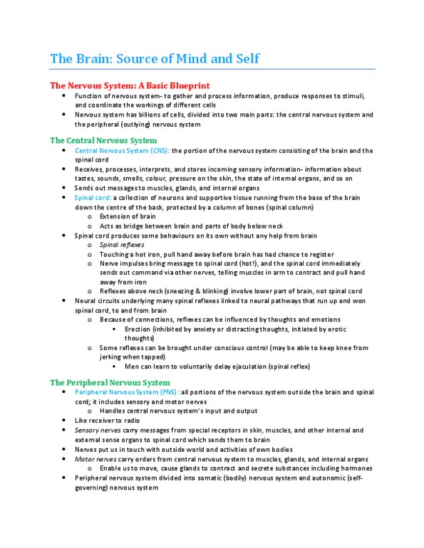 PS101 Chapter Notes - Chapter 4: White Matter, Oboe, Axon Terminal thumbnail