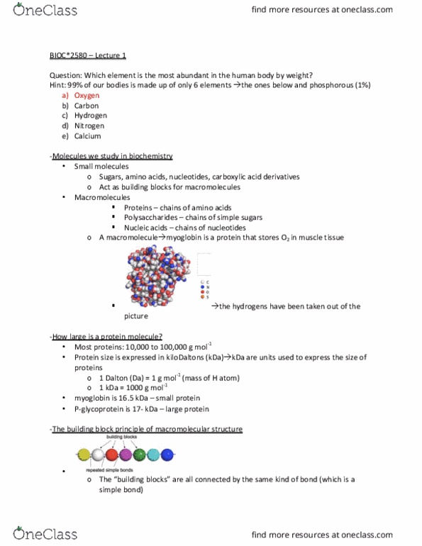 BIOC 2580 Lecture Notes - Lecture 1: Myoglobin, Cell Nucleus, Keratin thumbnail