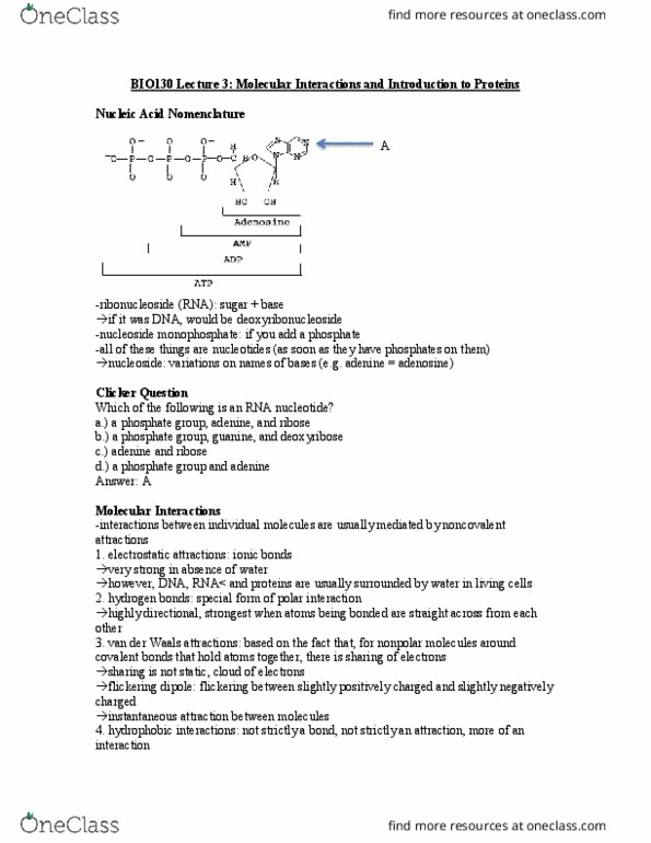 BIO130H1 Lecture Notes - Lecture 3: Nucleic Acid Nomenclature, Nucleotide, Phosphodiester Bond thumbnail