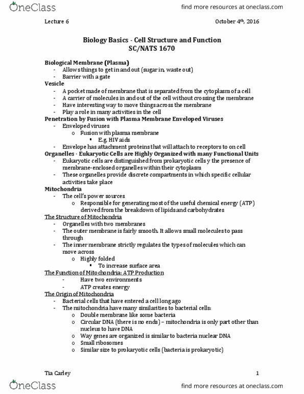 NATS 1670 Lecture Notes - Lecture 6: Cell Membrane, Inner Membrane, Nuclear Dna thumbnail