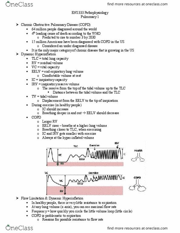 ENS 333 Lecture Notes - Lecture 6: Chronic Obstructive Pulmonary Disease, Hyperinflation, Vital Capacity thumbnail