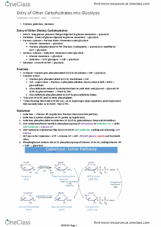 BCH 361 Lecture Notes - Lecture 2: Glycerol Kinase, Fructokinase, Glyceraldehyde 3-Phosphate thumbnail