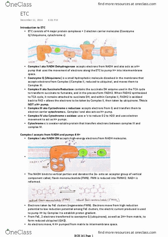 BCH 361 Lecture Notes - Lecture 8: Flavin Mononucleotide, Citric Acid Cycle, Rieske Protein thumbnail