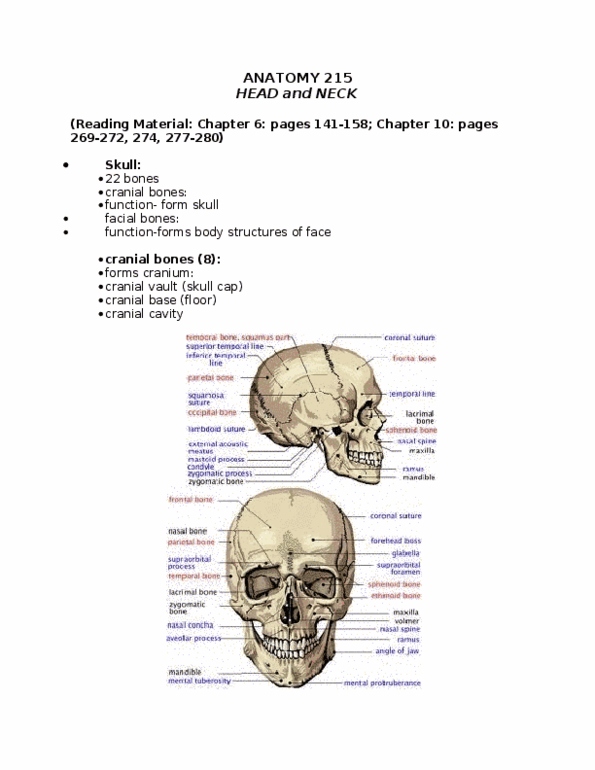 ANAT 215 Lecture Notes - Lecture 10: Cranial Vault, Lesser Wing Of Sphenoid Bone, Ethmoid Bone thumbnail