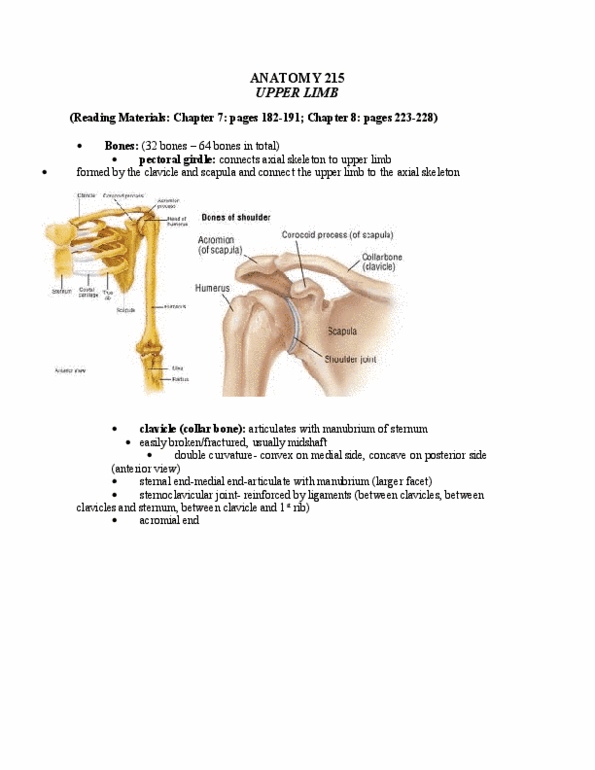 ANAT 215 Lecture Notes - Lecture 14: Hinge Joint, Coracoid Process, Shoulder Girdle thumbnail