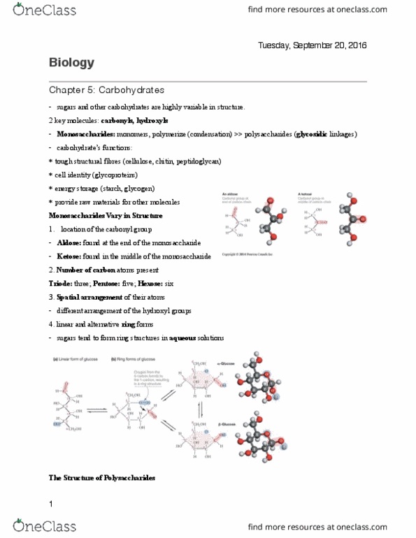 BMS 150 Lecture Notes - Lecture 5: Glycosidic Bond, Triode, Monosaccharide thumbnail