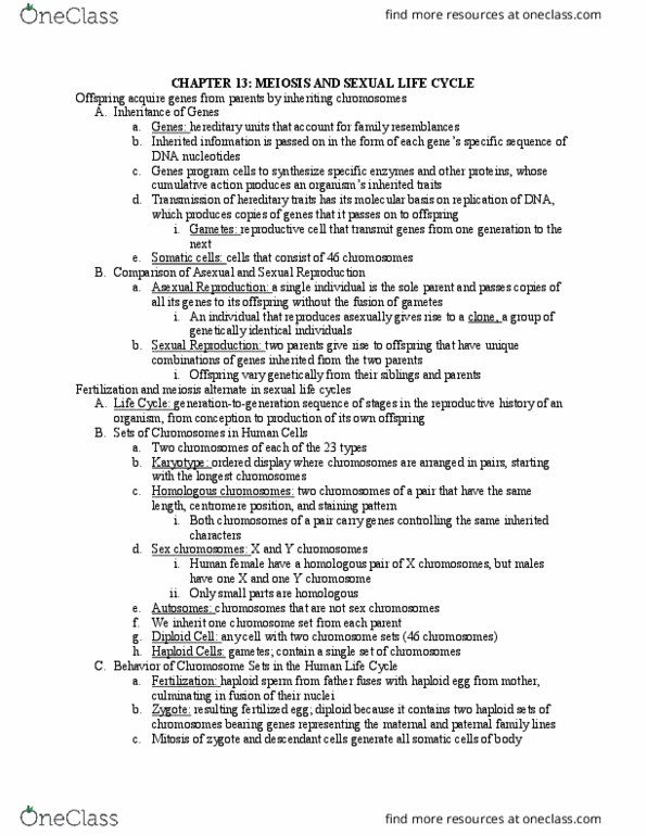 BIL 150 Lecture Notes - Lecture 13: Sporophyte, Allosome, Y Chromosome thumbnail