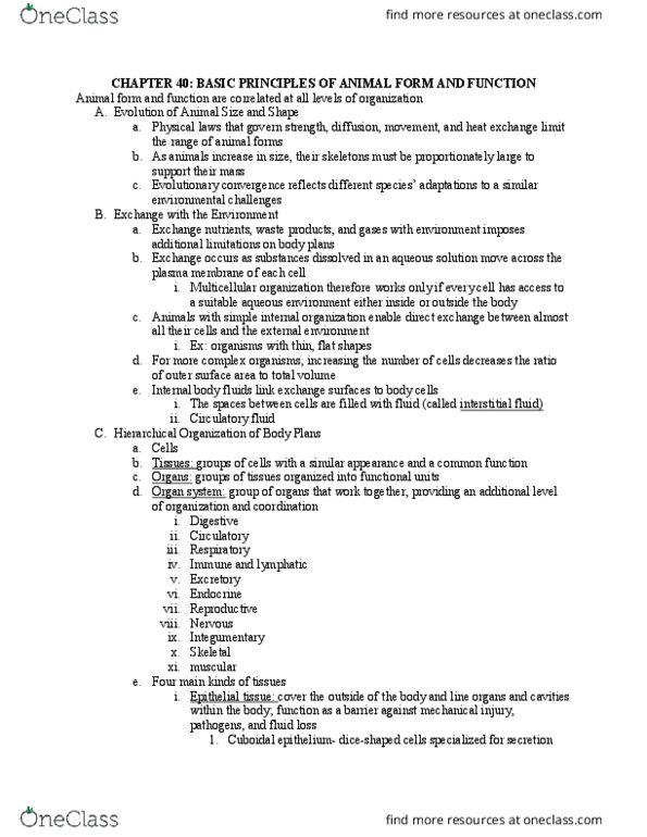 BIL 150 Lecture Notes - Lecture 21: Stratified Squamous Epithelium, Simple Squamous Epithelium, Loose Connective Tissue thumbnail