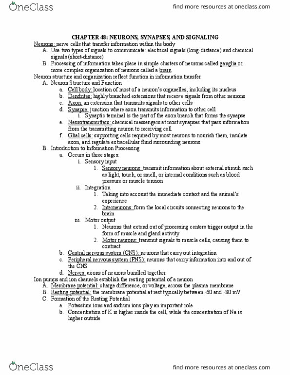 BIL 150 Lecture Notes - Lecture 29: Central Nervous System, Ion Transporter, Peripheral Nervous System thumbnail