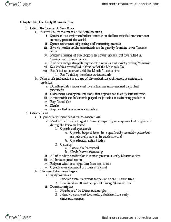 GSC 111 Chapter Notes - Chapter 16: Mesozoic, Middle Triassic, Bennettitales thumbnail