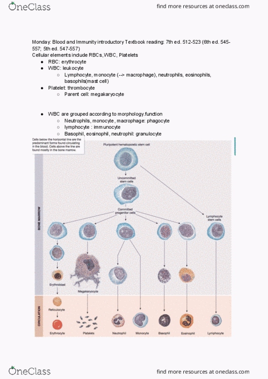 PSL301H1 Chapter Notes - Chapter 1: Hematopoietic Stem Cell, Leukopoiesis, Mast Cell thumbnail