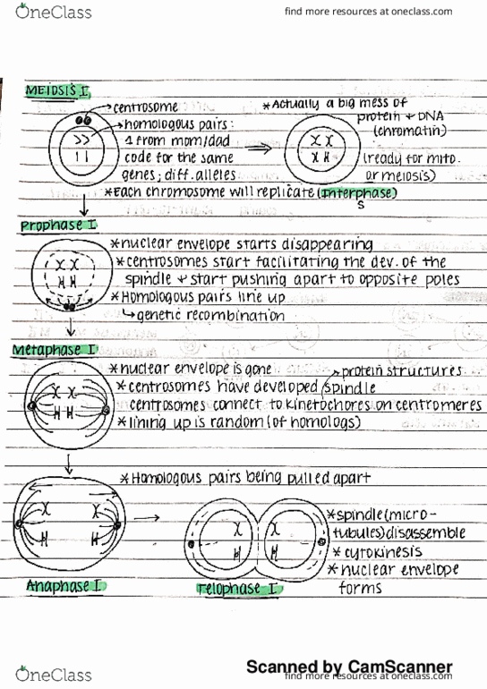 document preview image