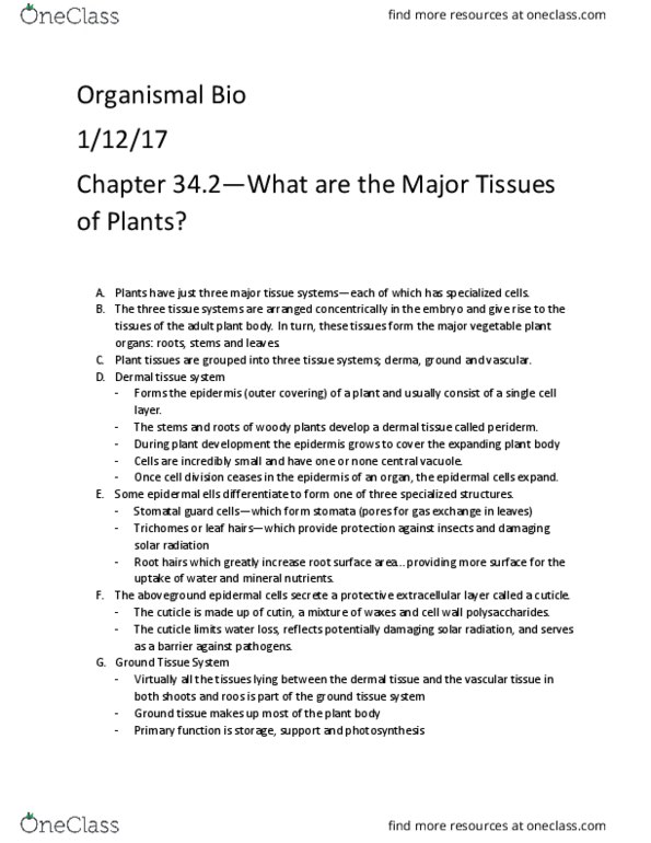 BIOL 206 Chapter Notes - Chapter 34: Vascular Tissue, Parenchyma, Ground Tissue thumbnail