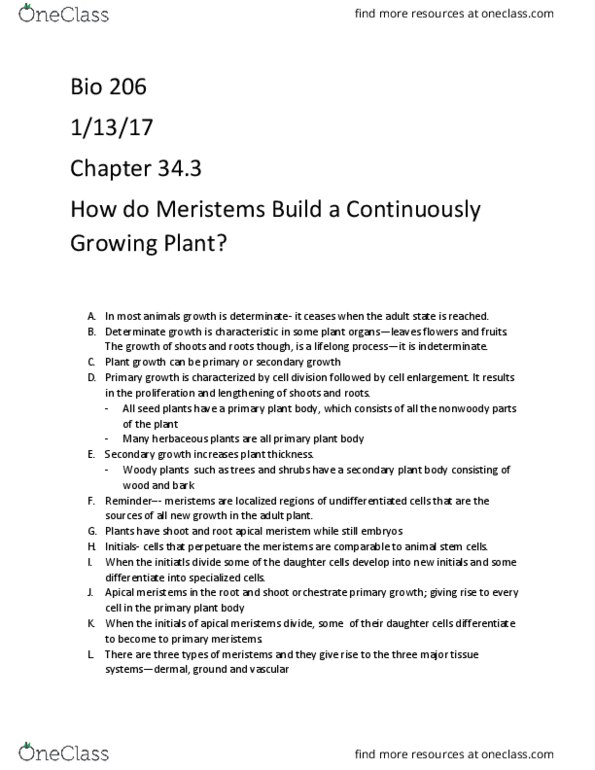 BIOL 206 Chapter Notes - Chapter 34: Meristem, Secondary Growth, Herbaceous Plant thumbnail