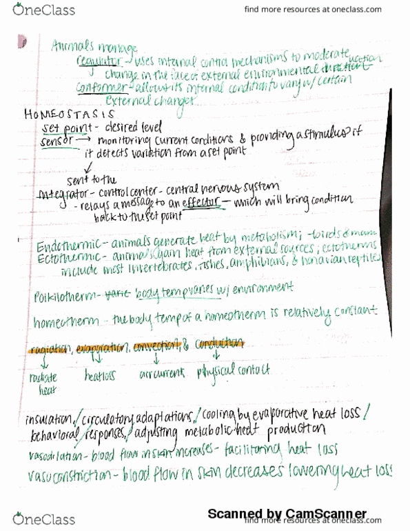 BIOL 112 Lecture 4: Misc. Animal Notes thumbnail