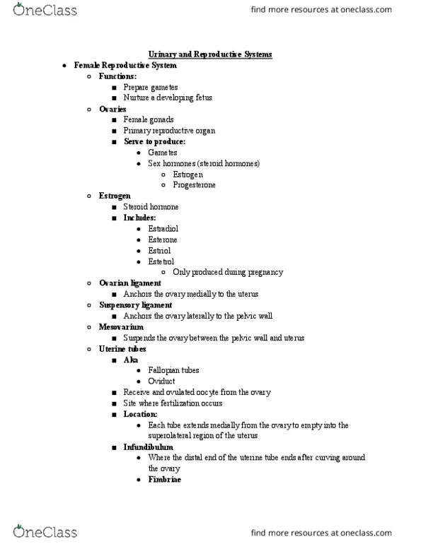 BIOL 320 Lecture Notes - Lecture 10: Stratified Squamous Epithelium, Ovarian Ligament, Suspensory Ligament thumbnail