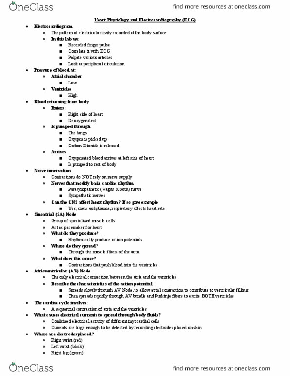 BIOL 320 Lecture Notes - Lecture 6: Heart Valve, Purkinje Fibers, Cardiac Action Potential thumbnail