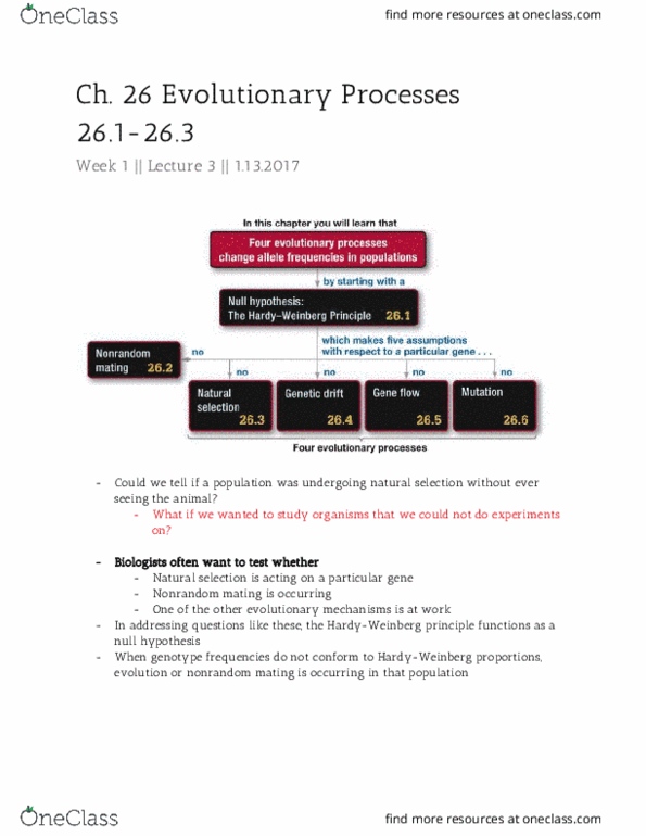 BIO SCI 94 Lecture 3: Ch. 26 Evolutionary Processes (26.1-26.3) thumbnail