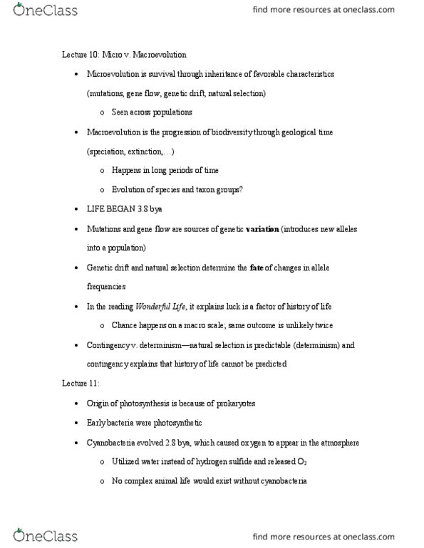 CAS BI 107 Lecture Notes - Lecture 10: Cellular Respiration, Hydrogen Sulfide, Mitochondrial Matrix thumbnail