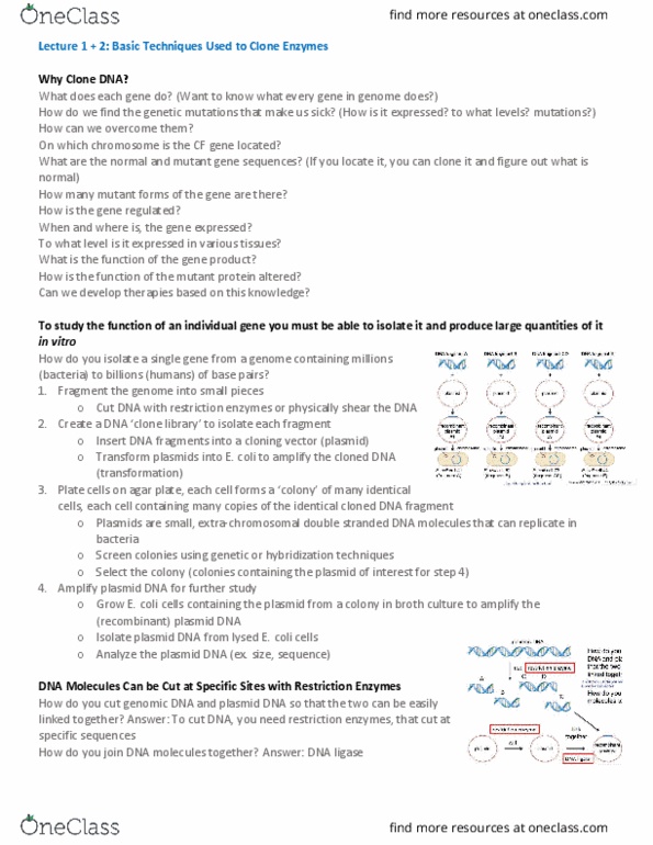 MCB 2050 Lecture Notes - Lecture 2: Multiple Cloning Site, Dna Ligase, Lac Operon thumbnail